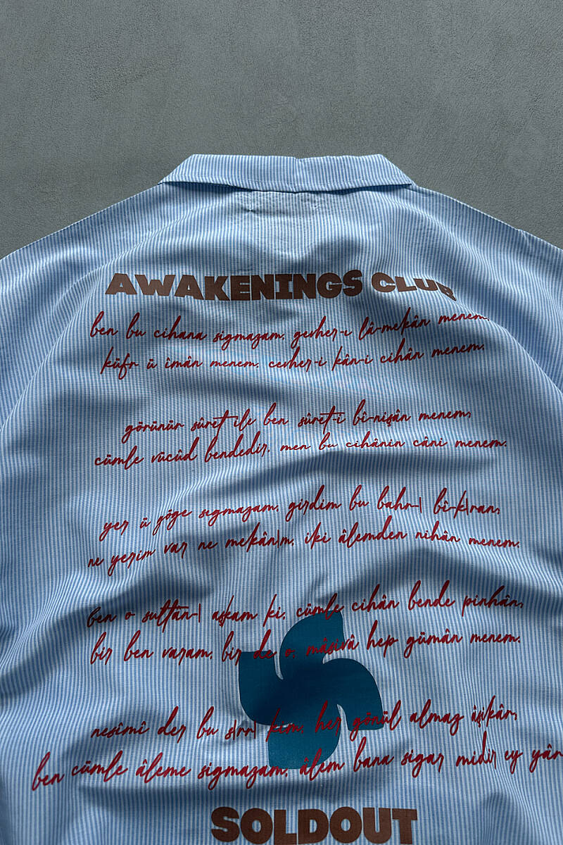 Awakenings Club İnce Mavi Çizgili Boxy Fit Crop Gömlek - 5
